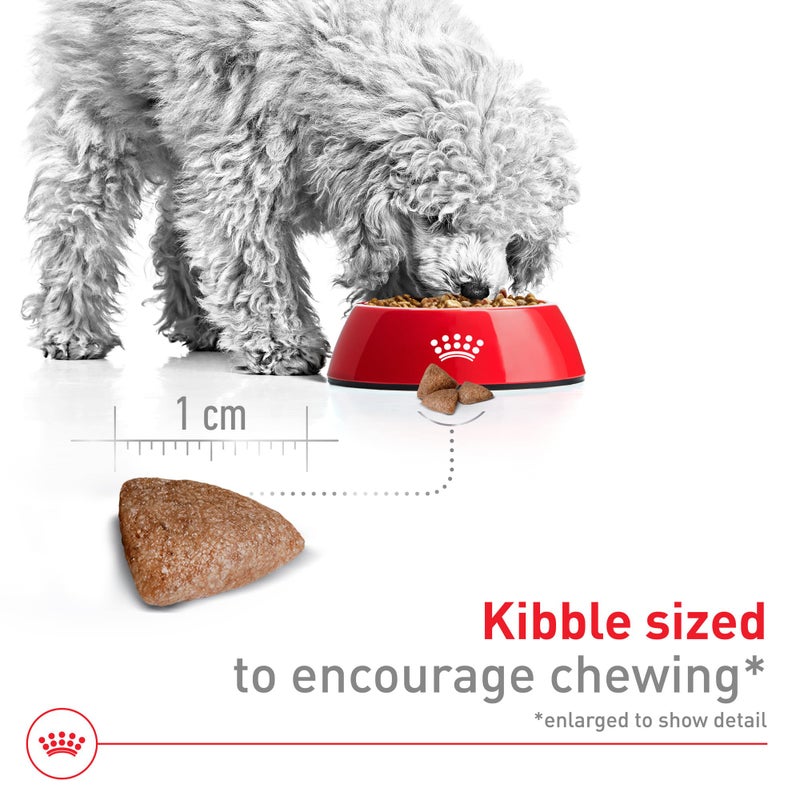 Royal Canin Size Health Nutrition Small Indoor Adult Dry Dog Food, 2.5 lb Bag - Image 3